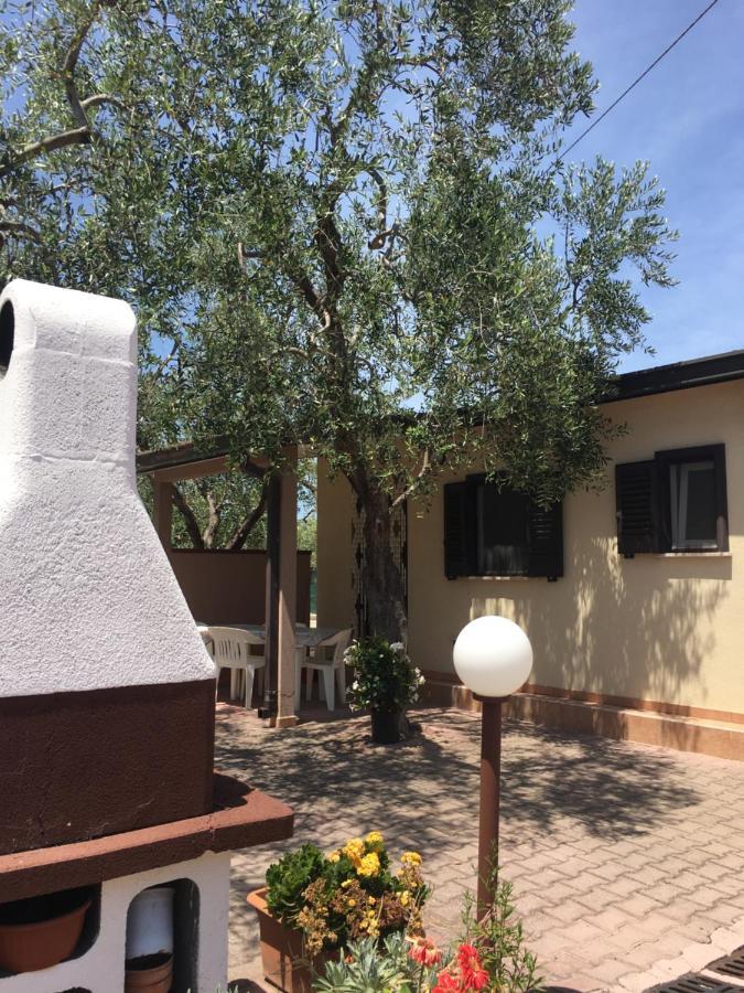 Villa Annamaria Βιέστε Εξωτερικό φωτογραφία